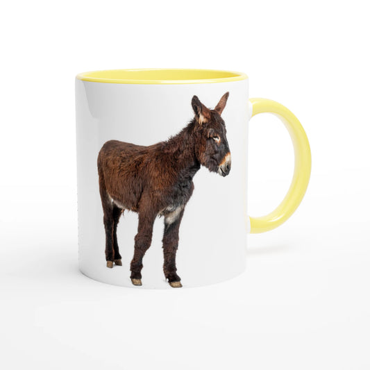 1652d9fb-0255-4f0e-b6ce-bce9ec232446