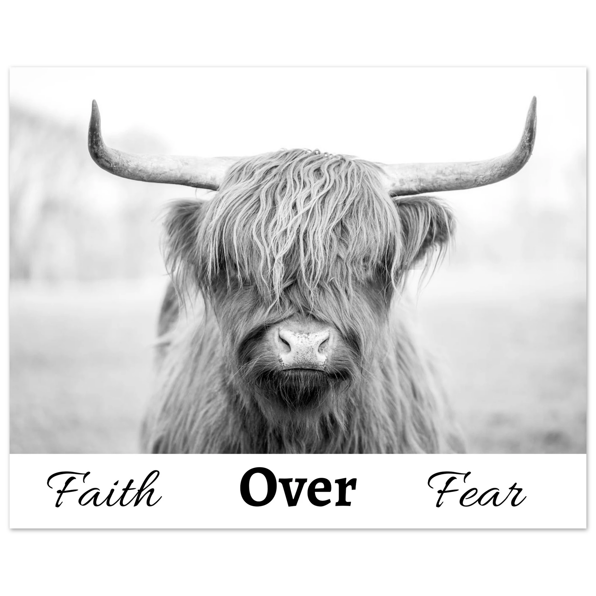 4749c5a0-f128-40b0-b9a6-df5ff9d58c4c