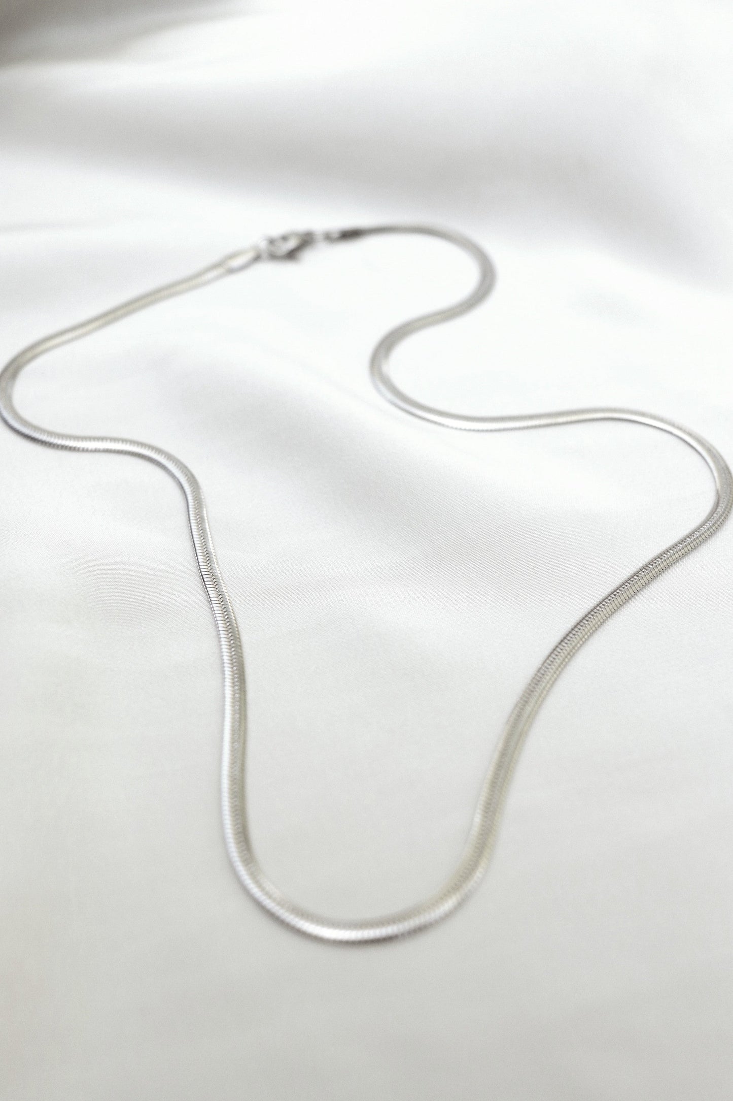 Flat Snake Chain - Silver - Stainless Steel