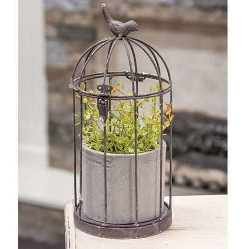 Birdcage Planter with Rustic Cement Pot