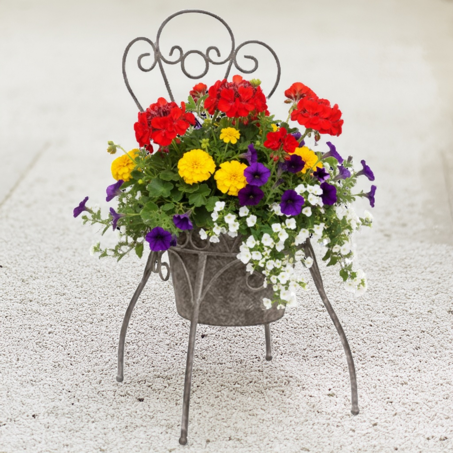 Rustic Metal Garden Chair Planter