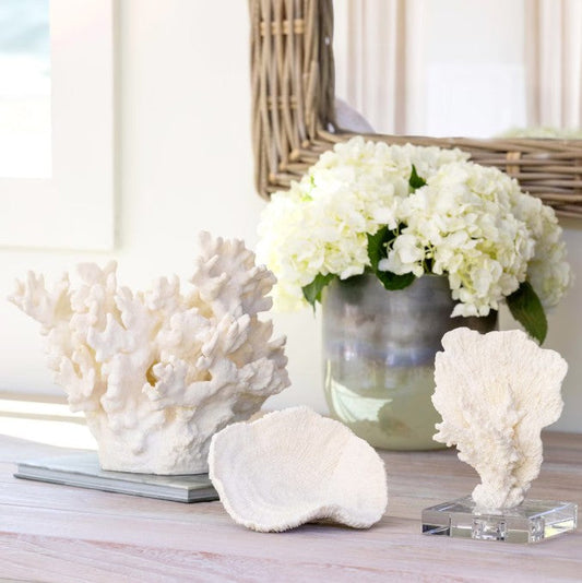 Park Hill |Maldives Faux Coral Accent, Large