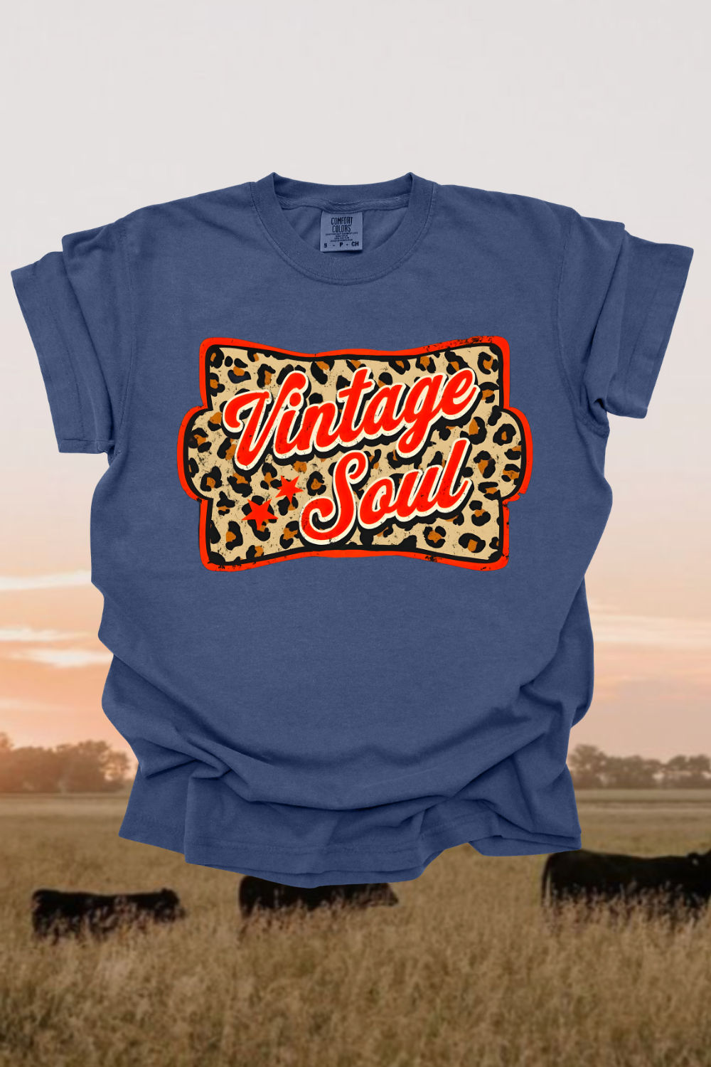 Vintage Soul Graphic Tee