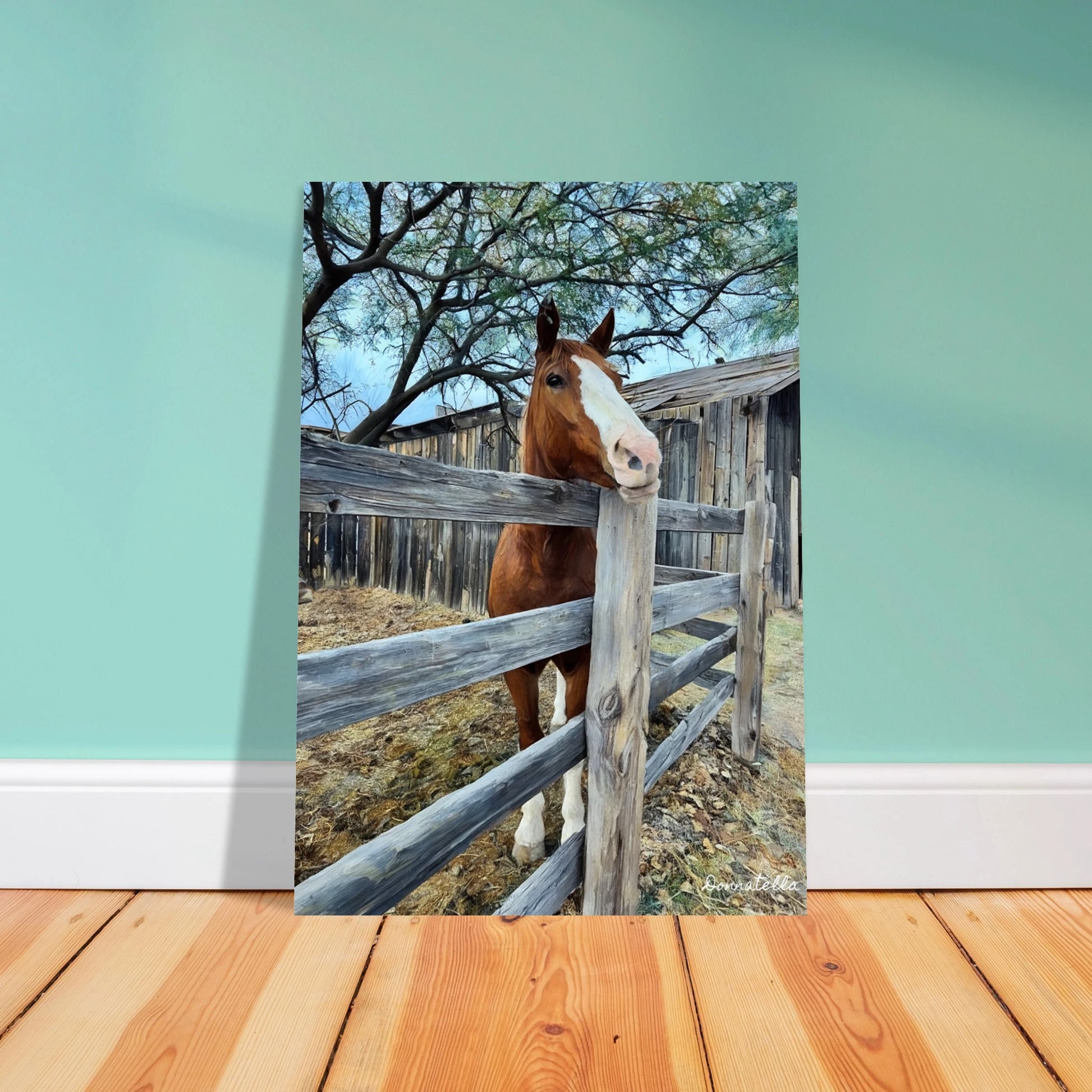 bad6f34b-07bb-4837-b6a2-26f27cfc8e5e