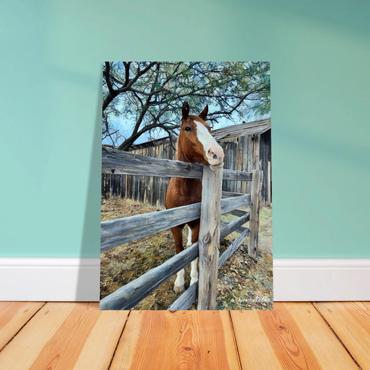 bad6f34b-07bb-4837-b6a2-26f27cfc8e5e