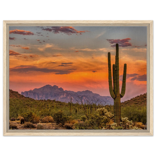 da304bce-5ba2-45ac-a22f-06d9d6ad2098