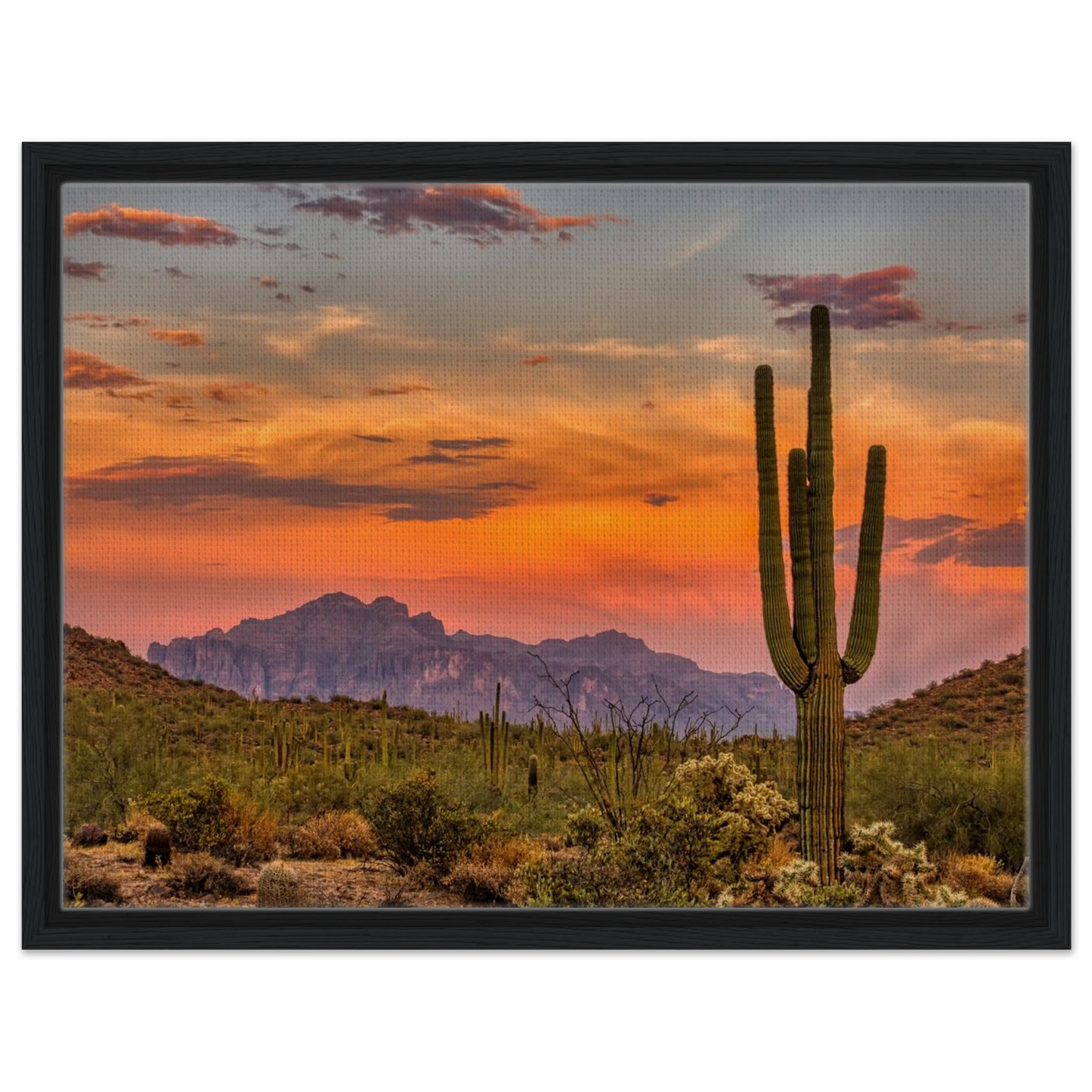 ef9be06f-75e7-41b0-b4f9-990bfe27ff17