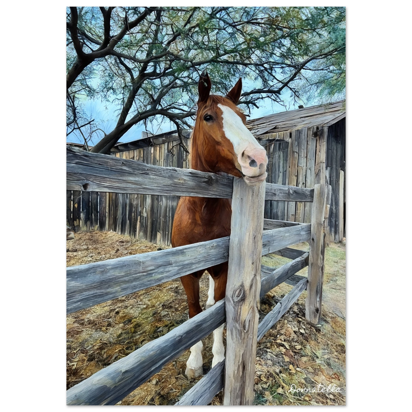 fbc352d3-baf6-4651-9395-869681670195