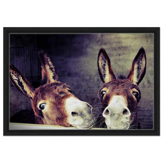 fcd5b84e-a8dd-4b3d-99f6-5649374d7f1b