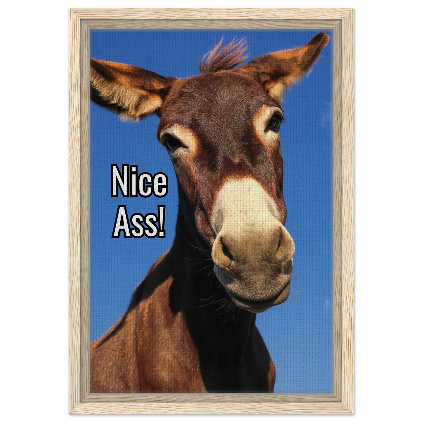 0e8a25e4-0ed5-43b5-8bd9-38b729817b03