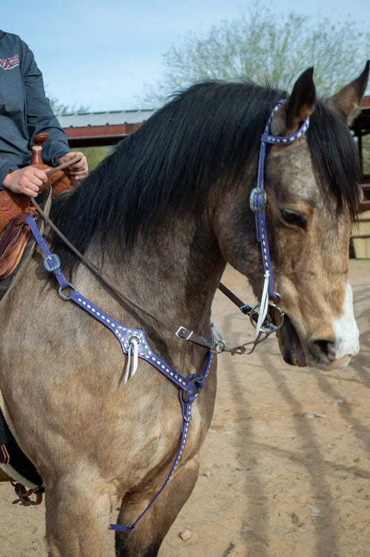 Buckstitchin’ Beauty Purple Tack Set