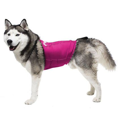 PRODOGG™ ANTI-ANXIETY COMPRESSION SHIRT FOR 3XL-5XL 159101C