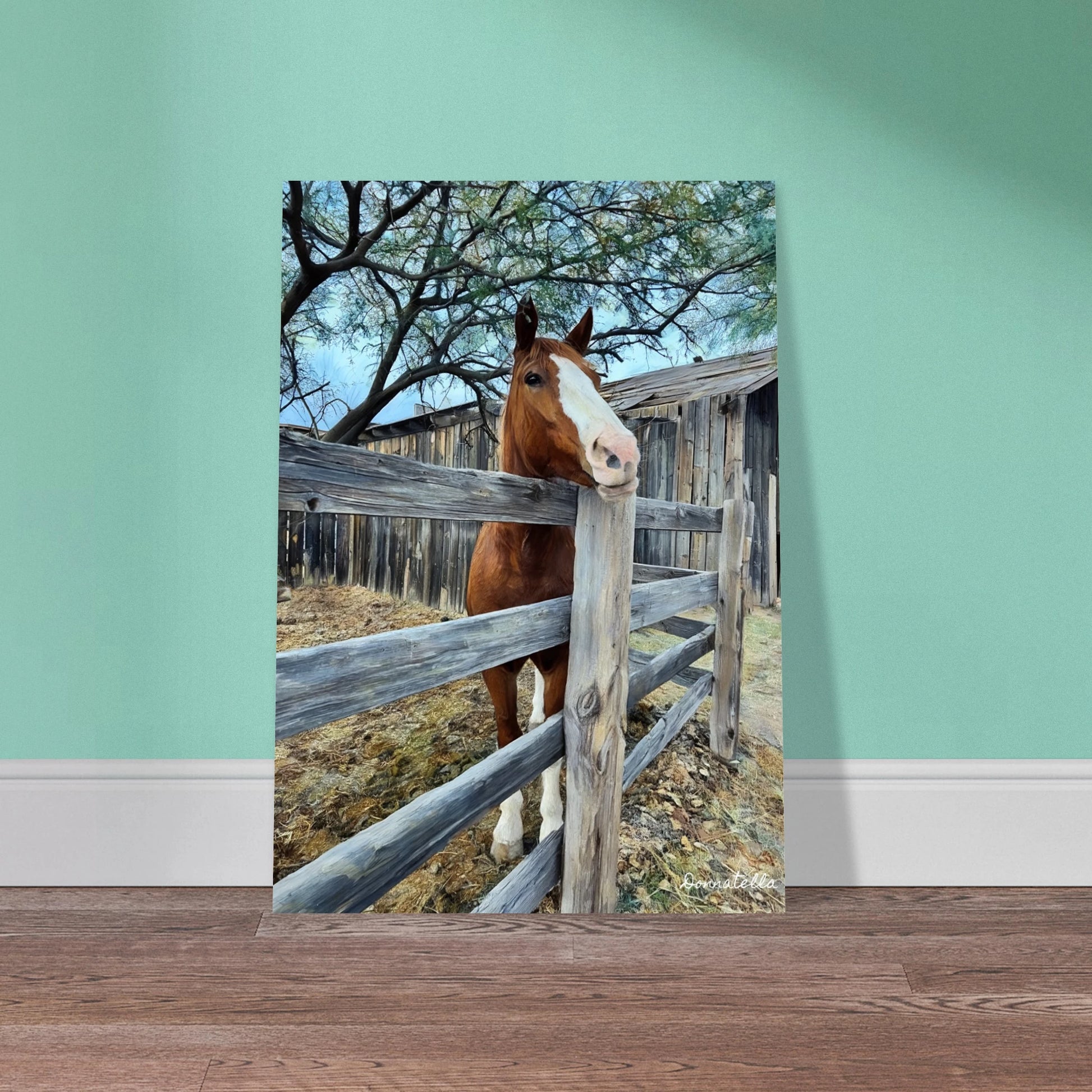 1884d71b-c553-4049-9dca-a1c95a9bfa47