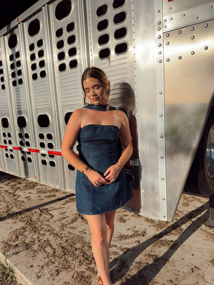 The Davie Denim Dress