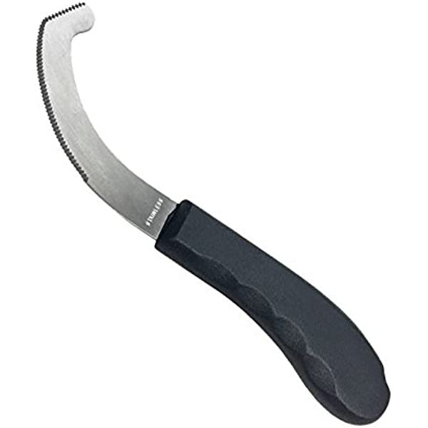 Bot Egg Knife