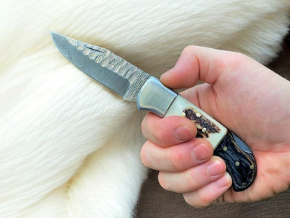 Handmade Damascus Folding Knife | Stag Horn & Rosewood