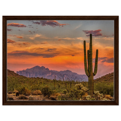 3980827a-3a7c-4059-9af1-514ceb8eeb6f