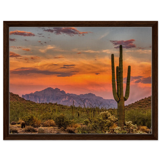 3980827a-3a7c-4059-9af1-514ceb8eeb6f