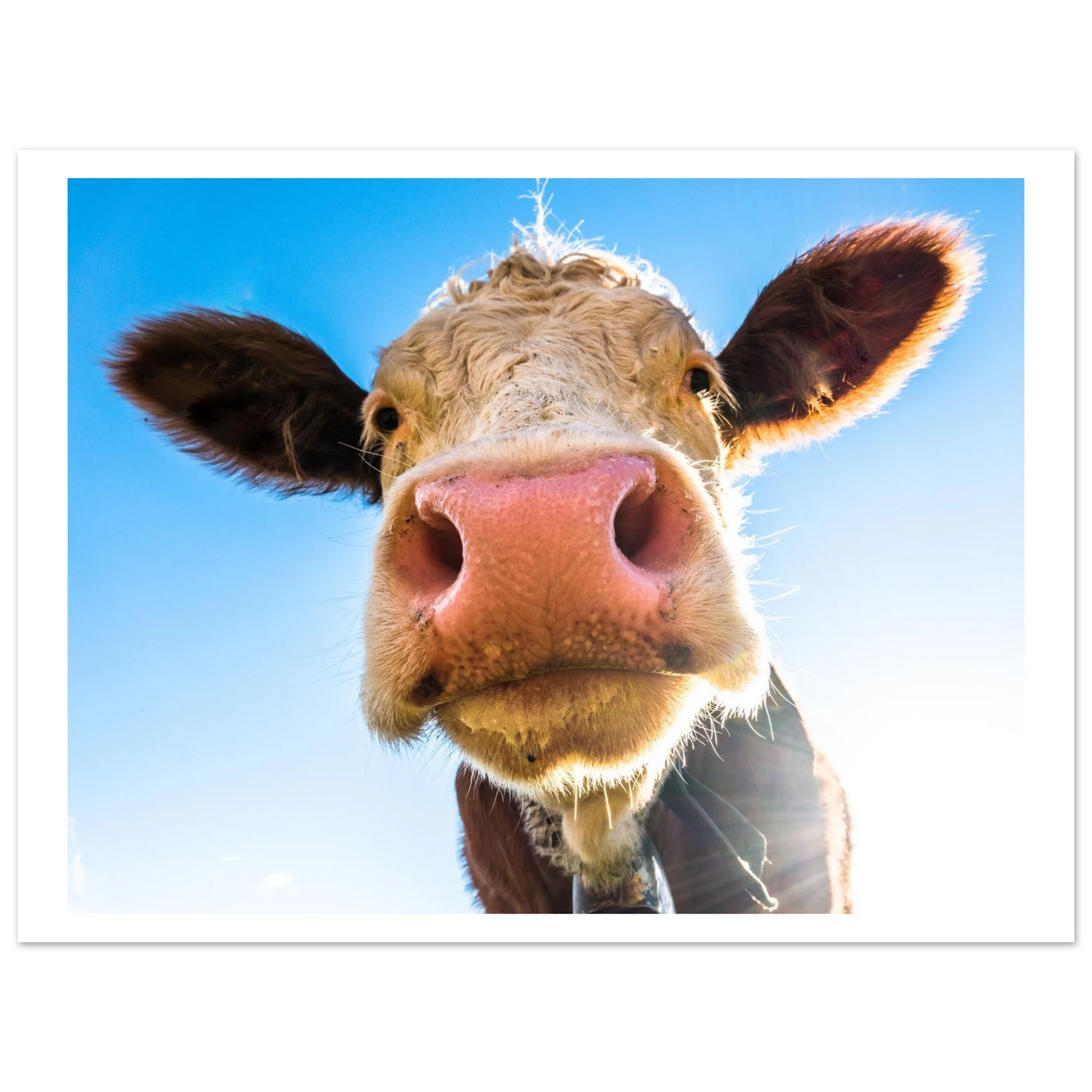 4aa4da7b-5742-4601-95b0-b7036437e9d9