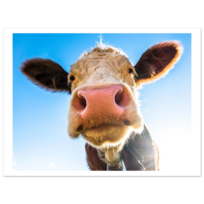 4aa4da7b-5742-4601-95b0-b7036437e9d9