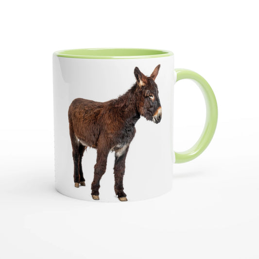 619cea13-d032-465e-8f75-c1a7cfb1bcfa