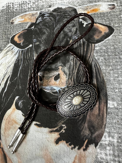 The Cody Bolo