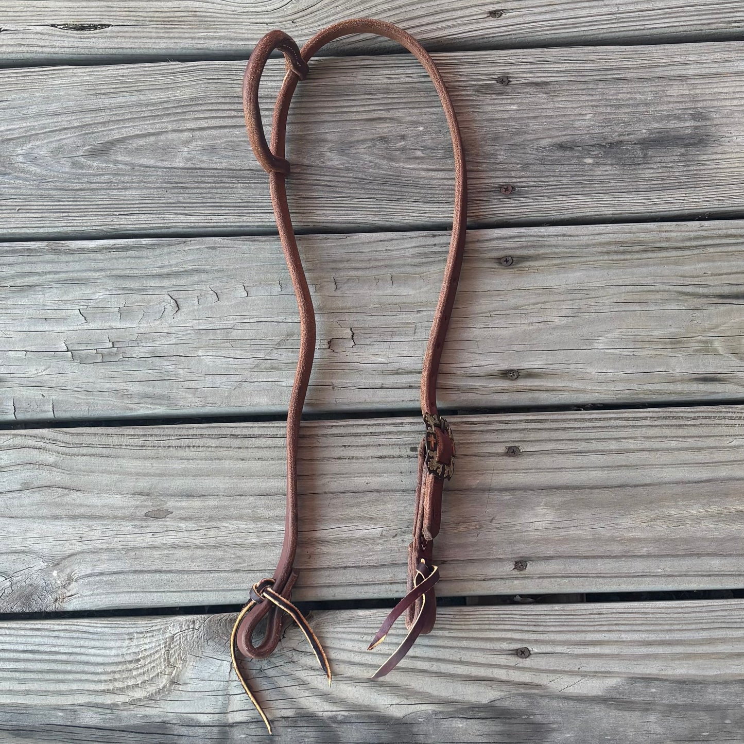 Designer Buckle Headstall