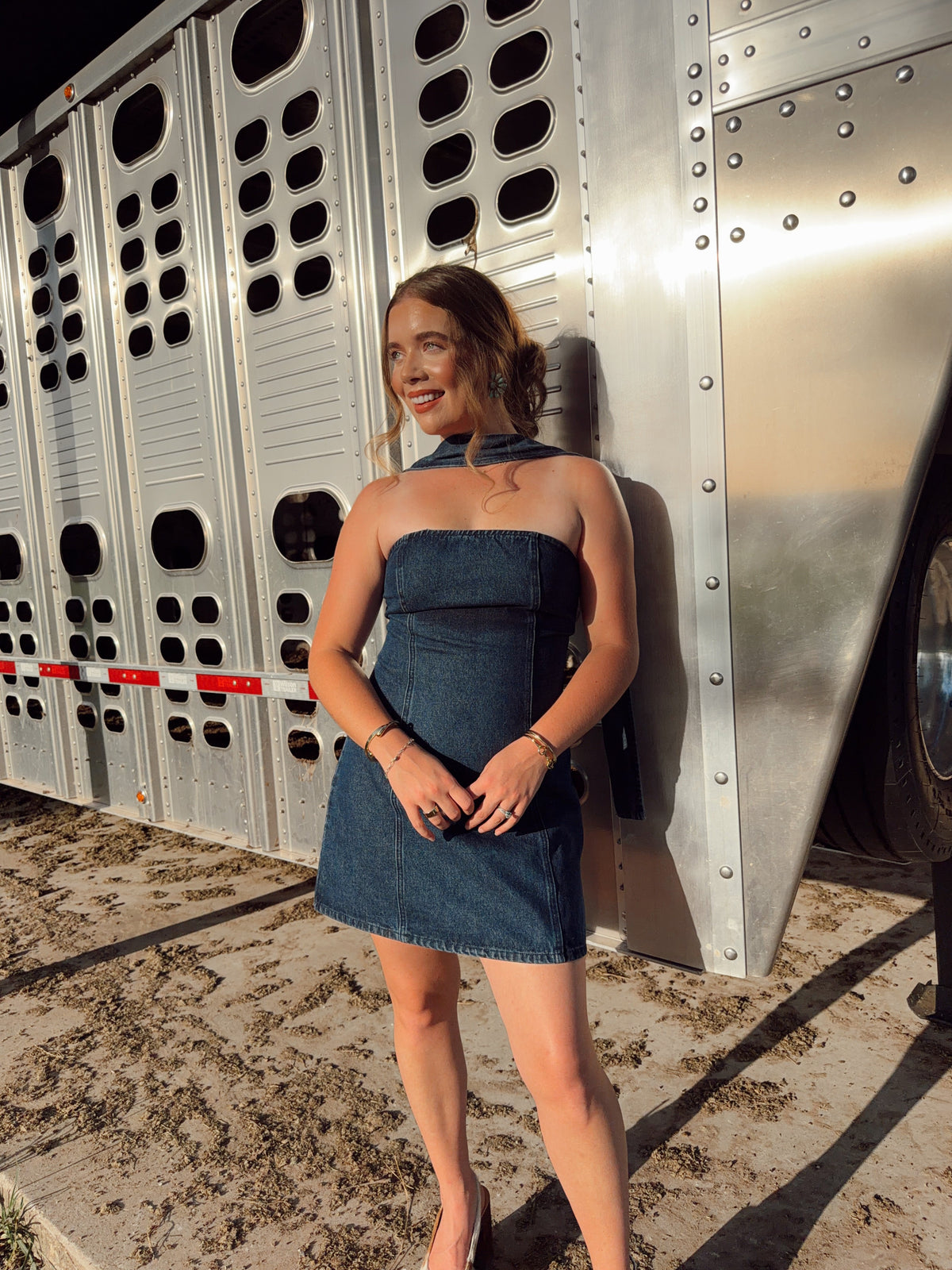The Davie Denim Dress