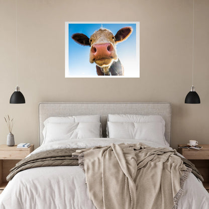 7d84d9be-fffb-43ea-93f2-b6452236201c