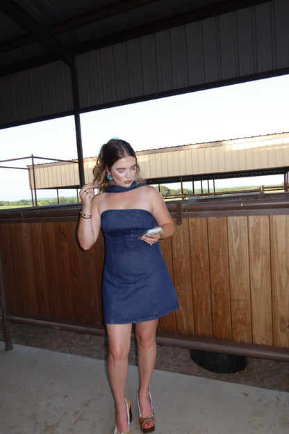 The Davie Denim Dress