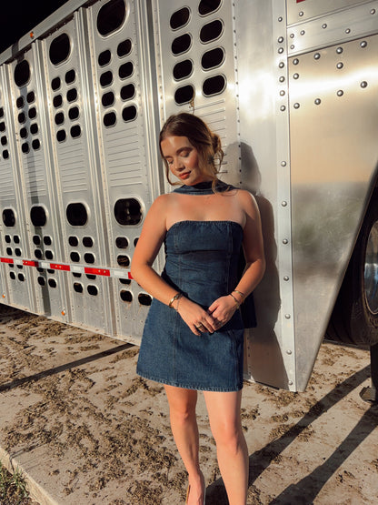 The Davie Denim Dress