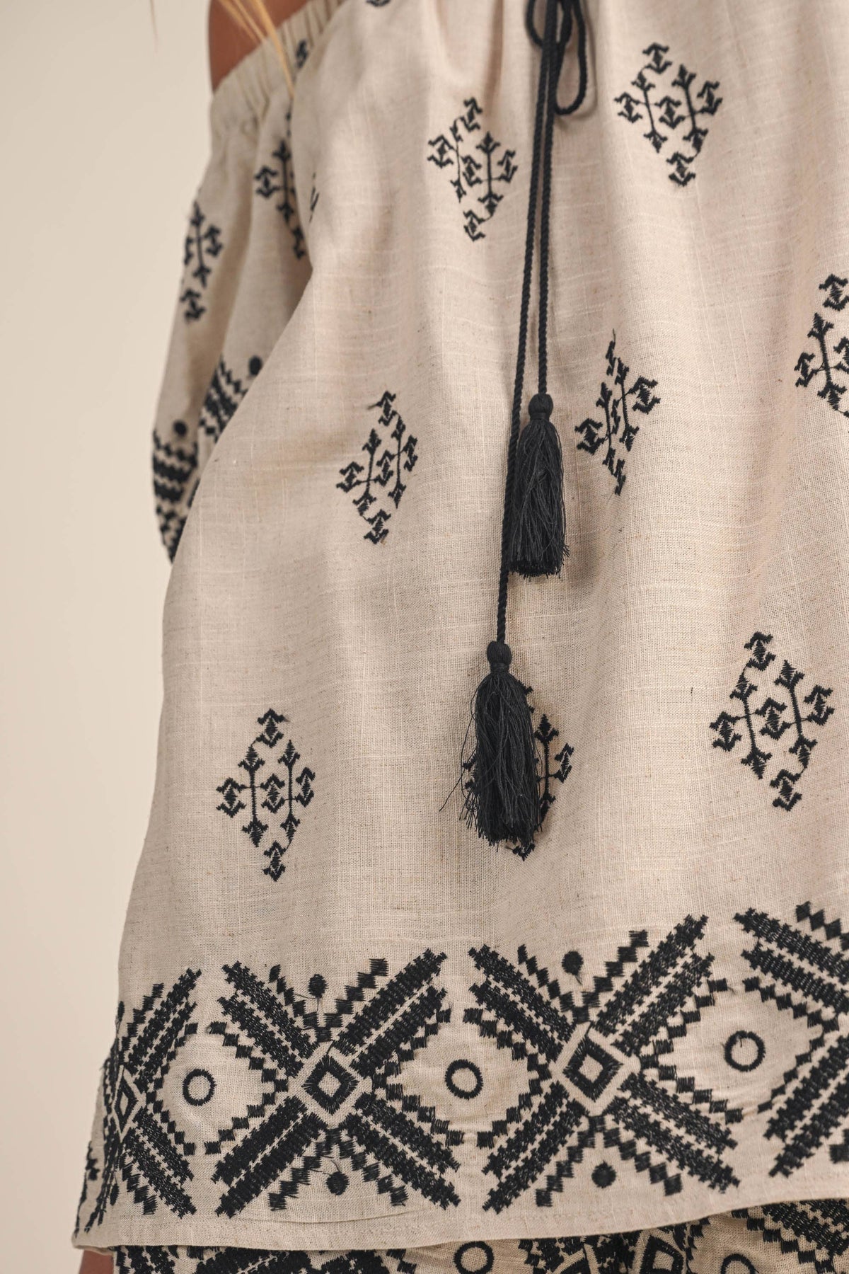 Border Print Embroidered Shorts
