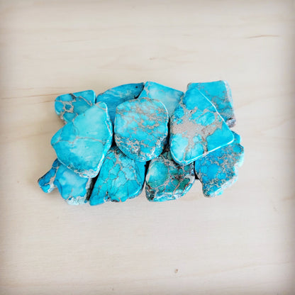 Medium Turquoise Regalite Slab Belt Buckle 908n