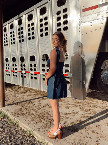 The Davie Denim Dress