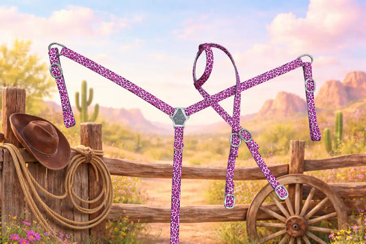 Catty Cowgirl Nylon One Ear Headstall & Breast Collar Tack Set