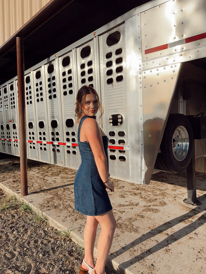 The Davie Denim Dress