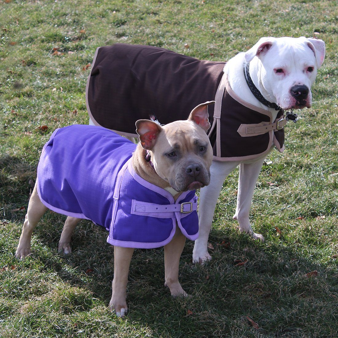 Derby Originals Ruff Pup Arctic Purple Plaid Dog Coat – 1200D Waterproof Ripstop, 150g Insulated Winter Jacket, Breathable 3-Layer Design, Adjustable Fit, 2-Year Warranty