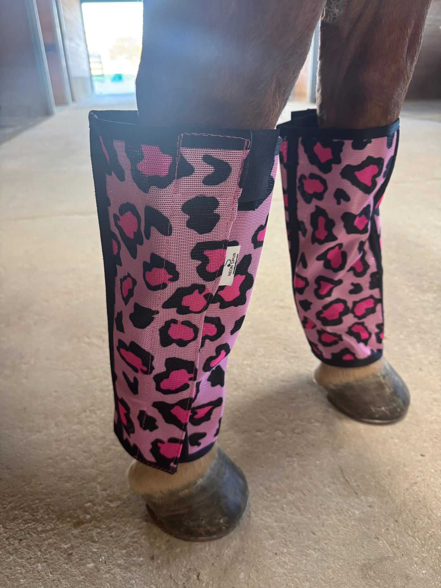 Catty Cowgirl Fly Boot 4-Pack