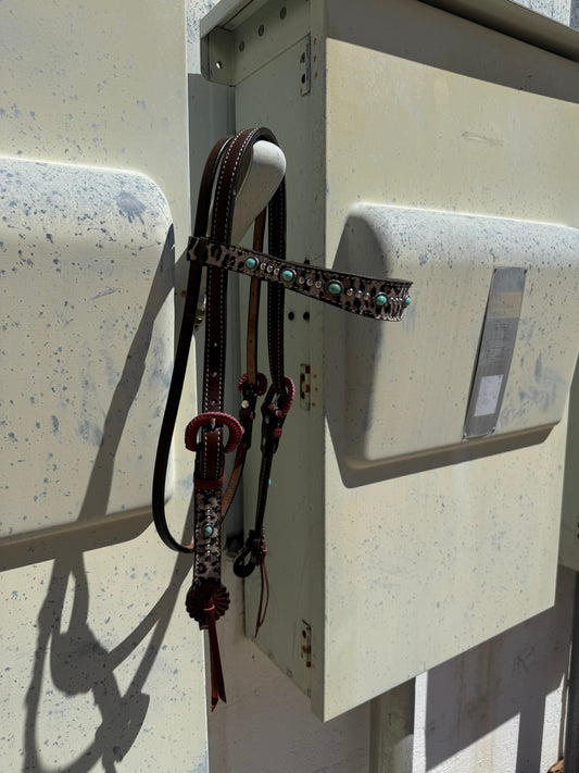 2800- Cheetah 1-1/2" Contour browband headstall