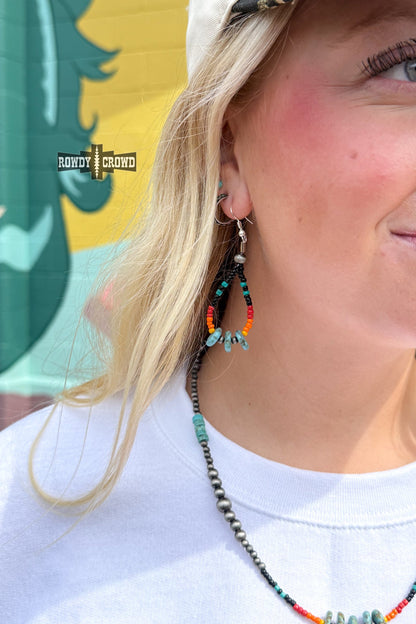 DS Show and Rodeo Earrings