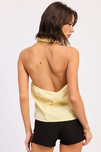 Roselle Top