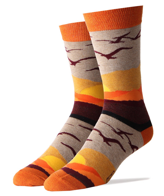 Desert Sky Socks
