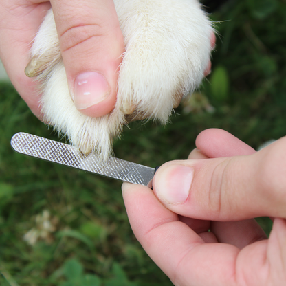 Professional Heavy Duty Pet Nail Clipper w Nail File by cuteNfuzzy