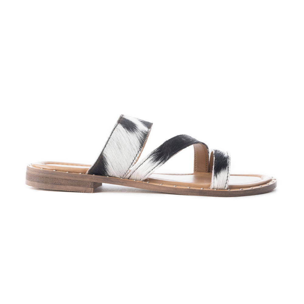 Ranch Ridge Slides In Black & White