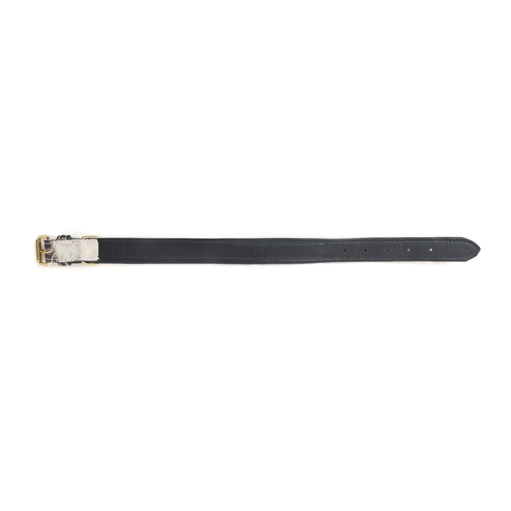 Prairie Paws Studded Hairon Dog Collar in Ash & Ivory