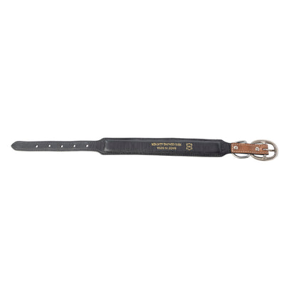 Prairie Sunflower Trail Dog Collar in Sandstone