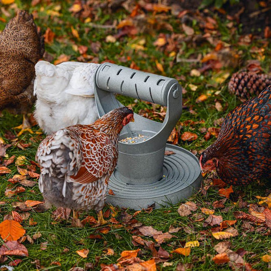 Backyard Chicken Feed Tower – Promotes Exercise and Mental Stimulation