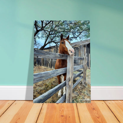 bad6f34b-07bb-4837-b6a2-26f27cfc8e5e