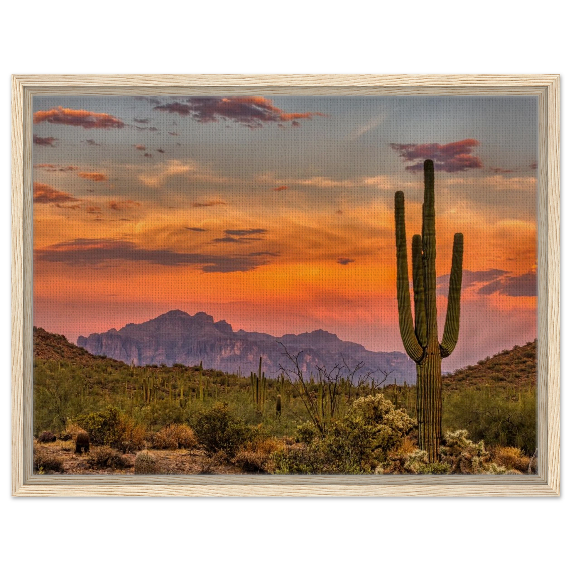 da304bce-5ba2-45ac-a22f-06d9d6ad2098