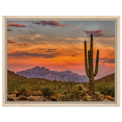 da304bce-5ba2-45ac-a22f-06d9d6ad2098